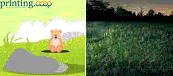 525077109.gif