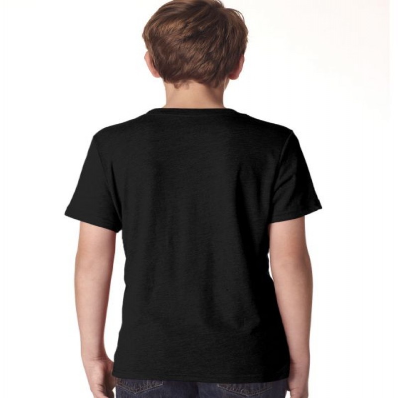 Next Level Youth Triblend Crew | N6310