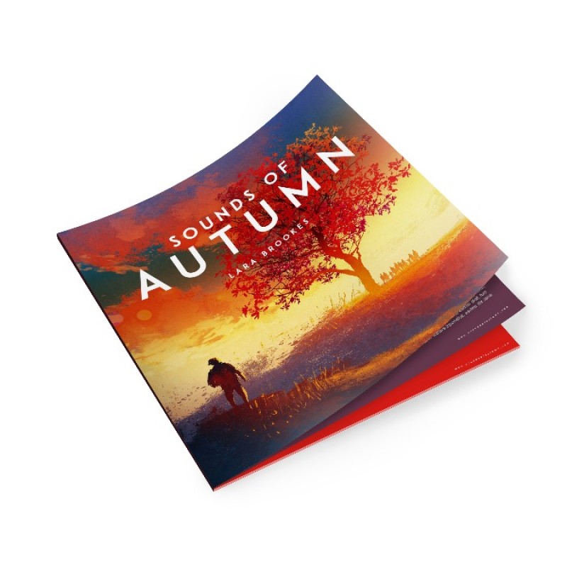 CD-DVD Booklets
