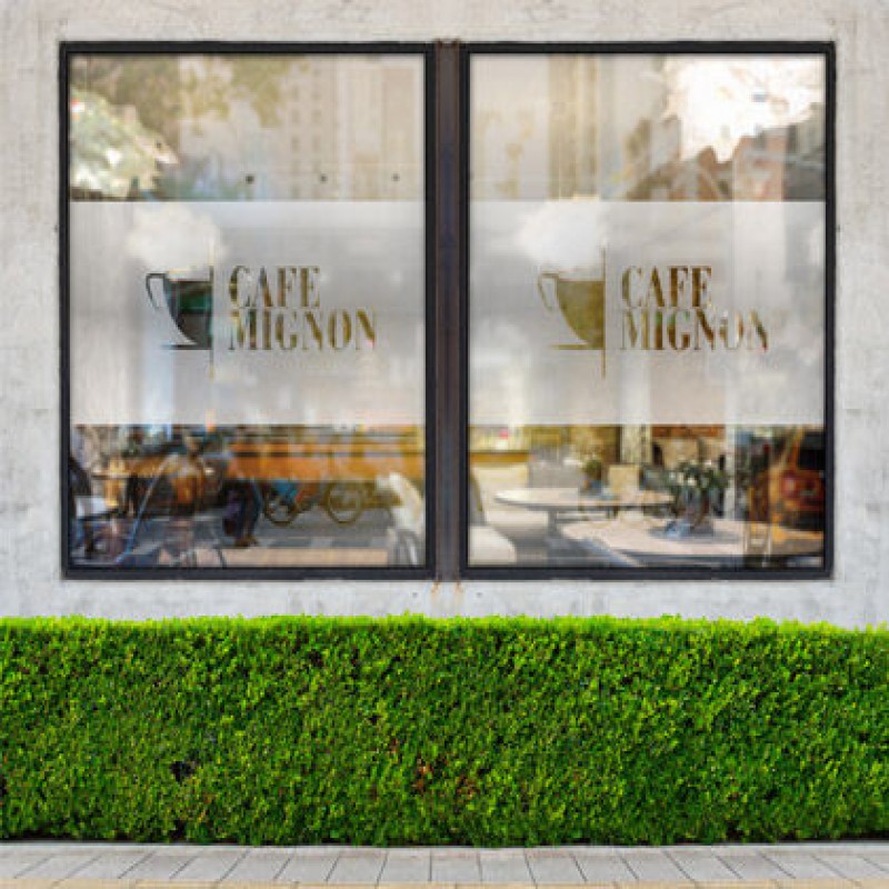 Gravé - Vinyle givré imprimable