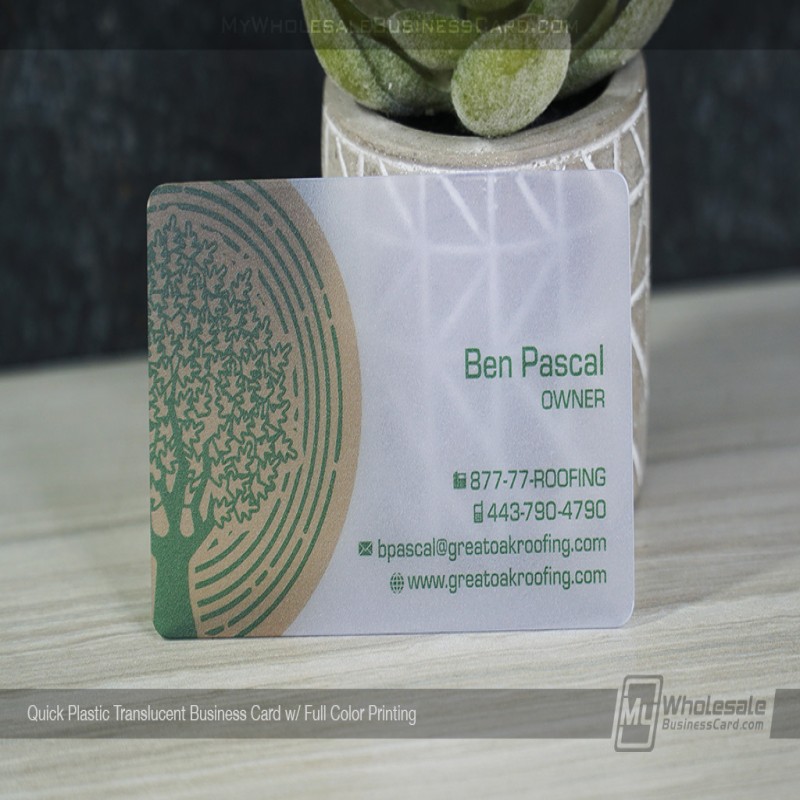 Quick Translucent Plastic Business Cards
