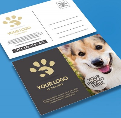 Standard Postcards gloss