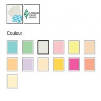 Papier à usages multiples et de couleur_4