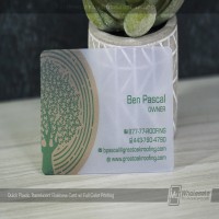 Quick Translucent Plastic Business Cards_4