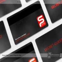 Glossy Plastic Business Cards_5